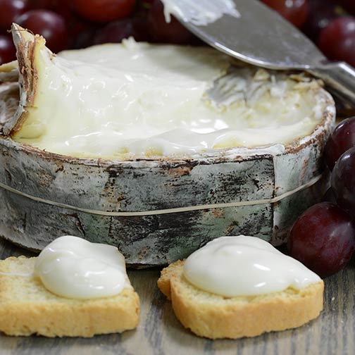 Jasper Hill's Harbison