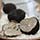 Fresh Black Summer Truffles from Italy | Gourmet Food World Photo [3]